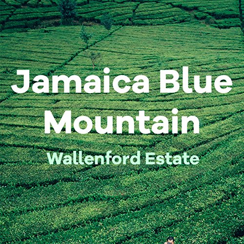 Jamaica Blue Mountain Coffee, Wallenford, En grano 16 oz miniatura 2