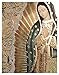 Our Lady Of Guadalupe Body Portrait Gold Border Foil Engraved (10