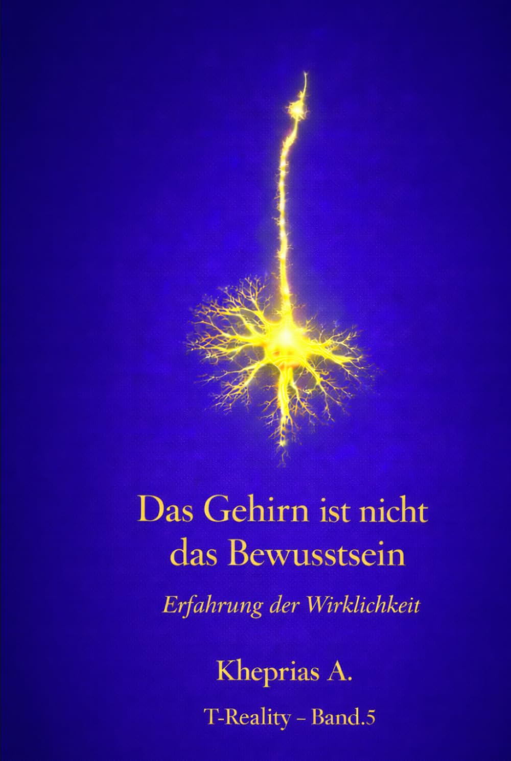 Warum das Gehirn kein Bewusstsein produziert: Wissenschaftliche Erklärung und der ontologische Status der Erfahrung: 5 (T-Reality – Philosophie des Geistes und Neurophilosophie)