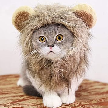 Amazon 猫の被り物 キャットキャップ ライオンに大変身 たてがみ 猫用ウィッグ 耳付き 変身 コスプレキャップ かぶりもの マジックテープで調節可能 着脱簡単 おしゃれ 可愛い Topsoso 服 アクセサリー 通販