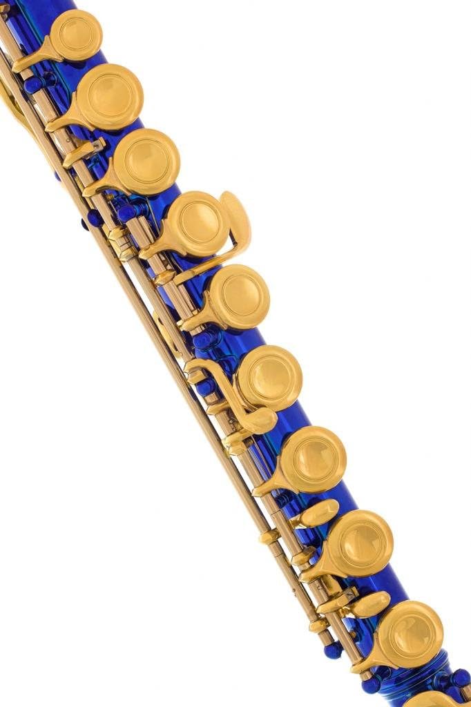 Professional Royal Blue-Gold Keys Closed Hole C Flute for Band, Orchestra, with Case, Care Kit and Warranty, 180-BU-N