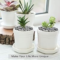 Vista 7 de Grava para suculentas y cactus de 10 libras, guijarros pulidos decorativos naturales de 1/5 pulgadas para paisajismo, rocas de río gris