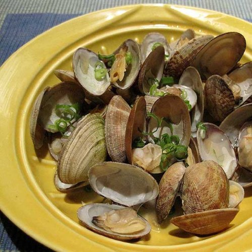 Amazon.com: CtoC Japan Steamer Microwave Cookers 焼杉 with Base 03