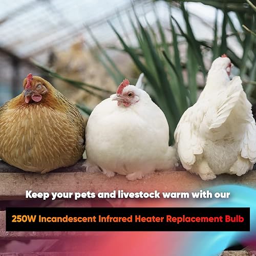 Miniatura 3 de lumenivo Repuesto de 250 vatios para lámpara de calor Fengrun rojo oscuro de 120 V  Tornillo mediano incandescente E26  1 pulgada de diámetro