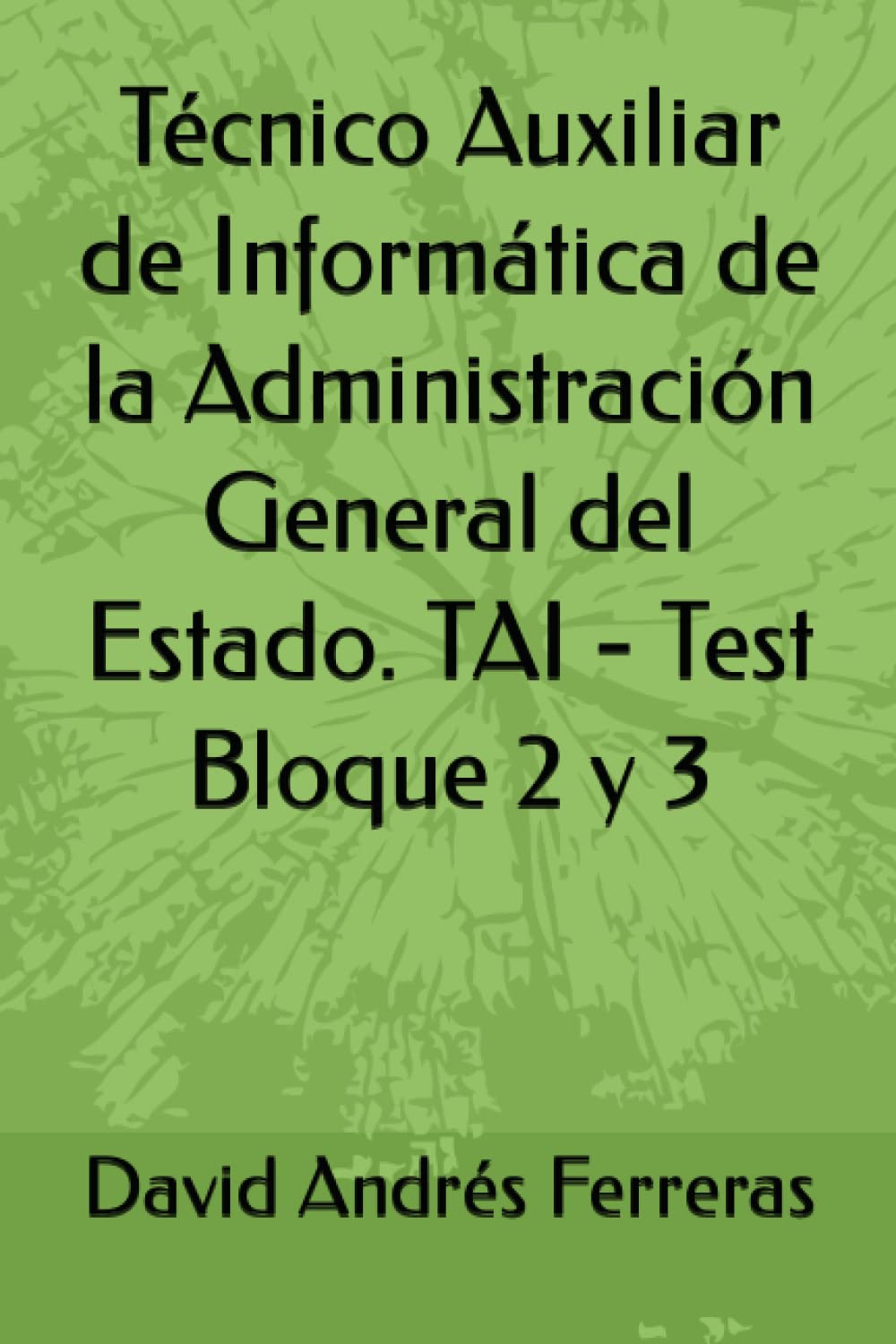 Técnico Auxiliar de Informática de la Administración General del Estado. TAI - Test Bloque 2 y 3