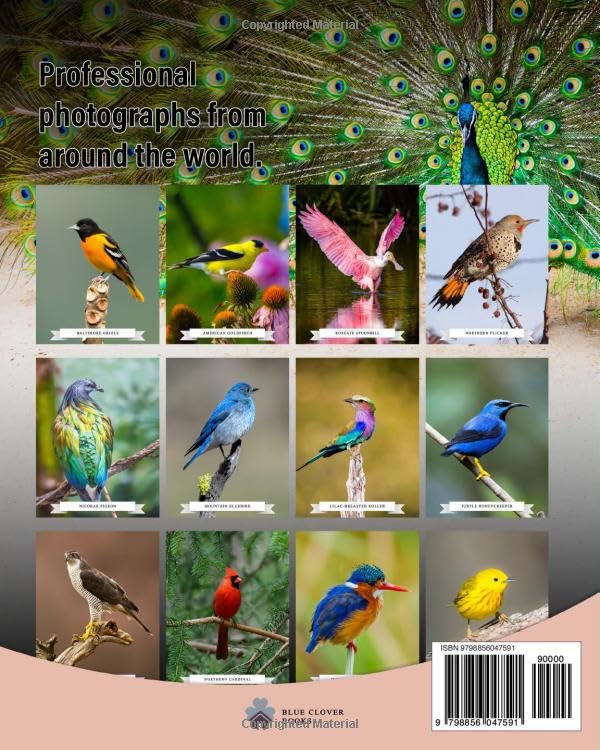 Image of The 100 Most Beautiful Birds in the World: A minimalist picture book for kids or seniors with alzheimer's or dementia (Vibrant Wonders Picture Books)
