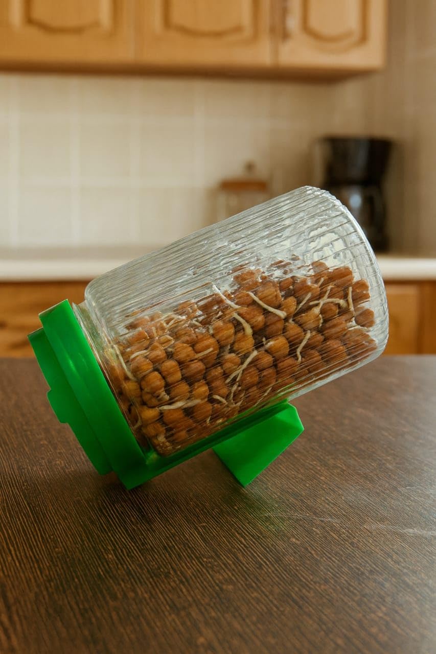Clazkit Sprouts Maker Jar – Durable & Reusable Sprouter for All Seeds and Beans, BPA-Free with 232-Hole Mesh Lid for Airflow, Odor-Free, Easy Drainage, and Hygienic – Green — Amazon image 9