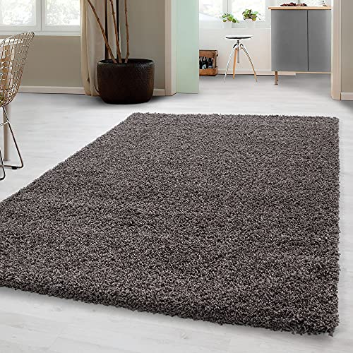 Carpetsale24 Shaggy Hochflor Teppich Wohnzimmer 120 x 170 cm Taupe Modern - Teppich Flauschig, Extra...