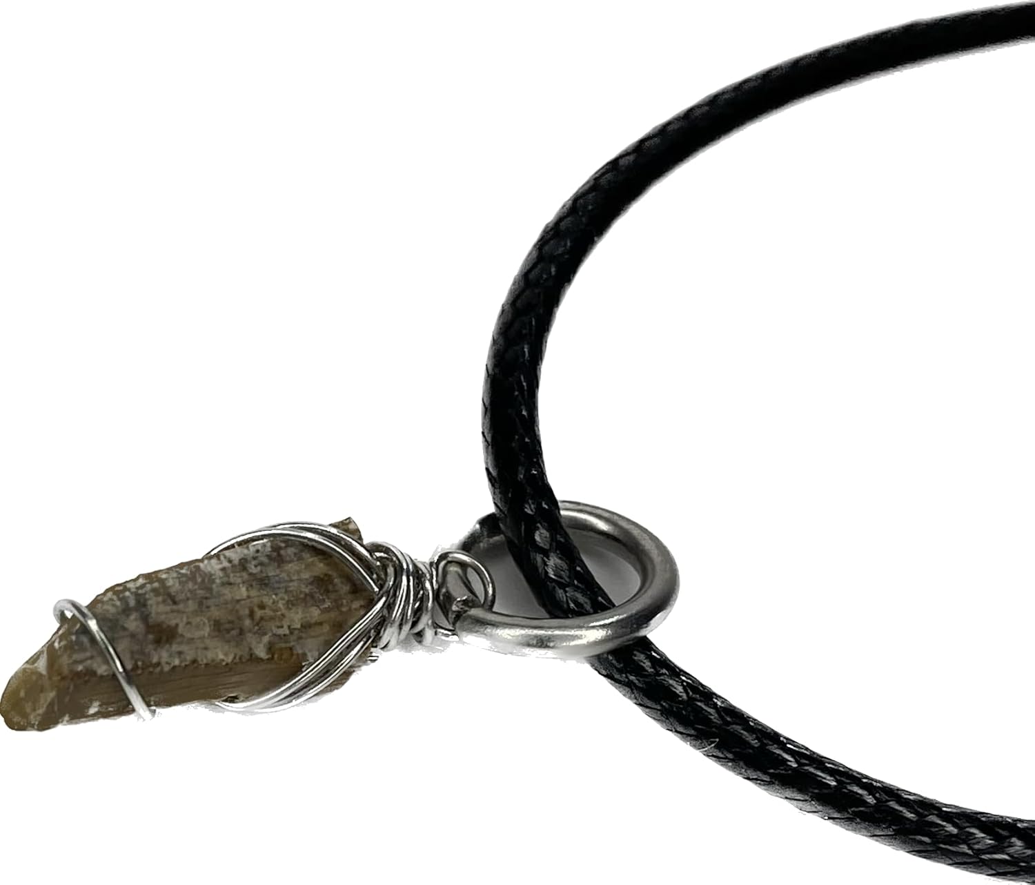 Real Rare Small T-Rex Tooth Pendant, Custom choice of metal wire wrapped Tyrannosaurus Rex Fossilized Tooth, Dino Jewelry,