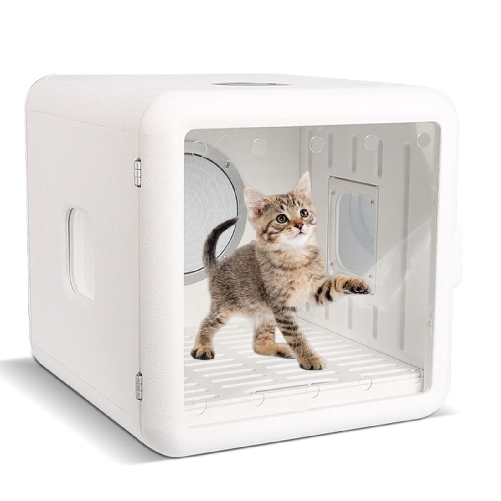 Caja secadora automática para mascotas, secadora silenciosa para gatos con temperatura ajustable de 65L con secado de cuerpo completo de 360°, iluminación, para gatos y perros pequeños,110V