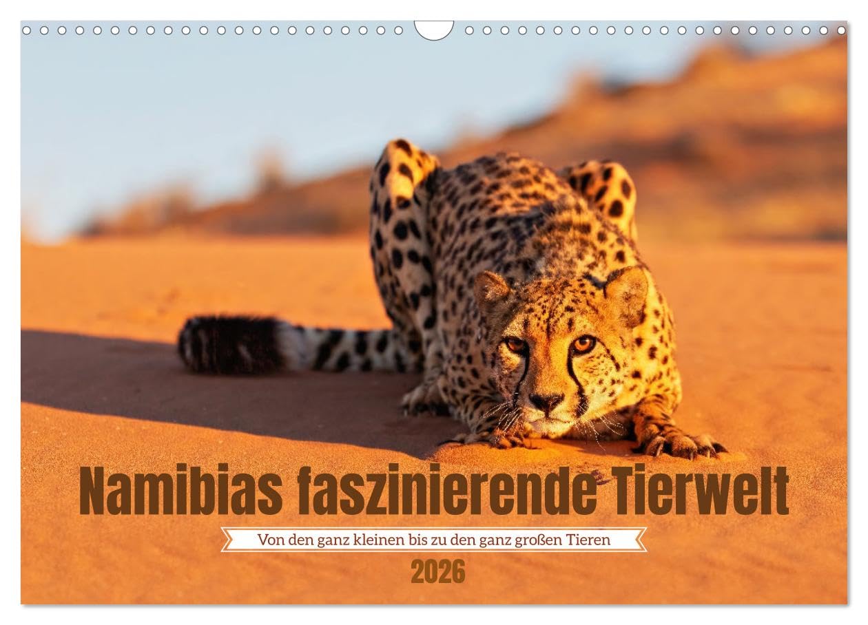 Namibia's fascinating wildlife UK-Version (Wall Calendar 2026 DIN A3 Landscape), CALVENDO 12 Month Wall Calendar โ image 1