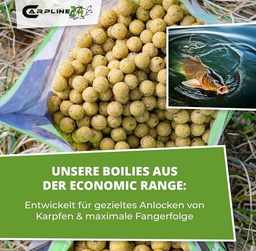 Boilies Maismehl Neutral - 10 kg - 16 mm - Karpfenköder zum Angeln, Futterboilies zum Anfüttern von Karpfen, Carp Baits, Angelfutter mit Lockstoff