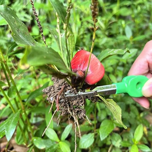 LOORGVEL Tragbare Gartenpinzette für Pflanzenpflege Multifunktionales Werkzeug für Gartenarbeiten Sukkulenten und Gemüseanbau Leicht und für Hobbygärtner und Naturerkundungen