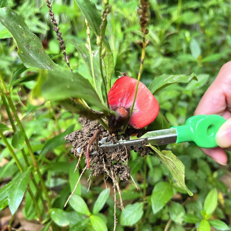 Pince à épiler Légère En Acier Inoxydable Pour L'élimination