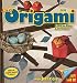 Easy Origami Fold-a-Day 2016 Calendar