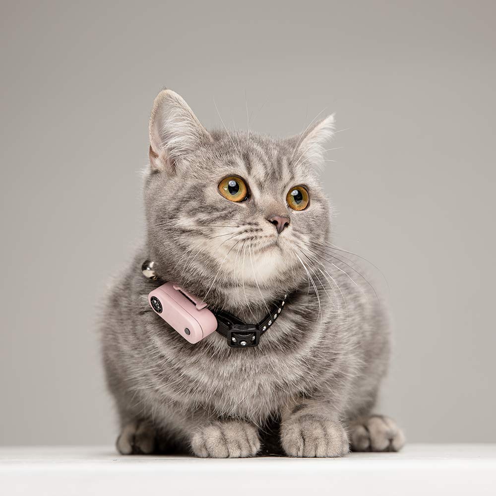 Tickless Mini Cat – Répulsif Rechargeable Ultrason Anti-tiques et puces pour Animaux de Compagnie - Or Rose