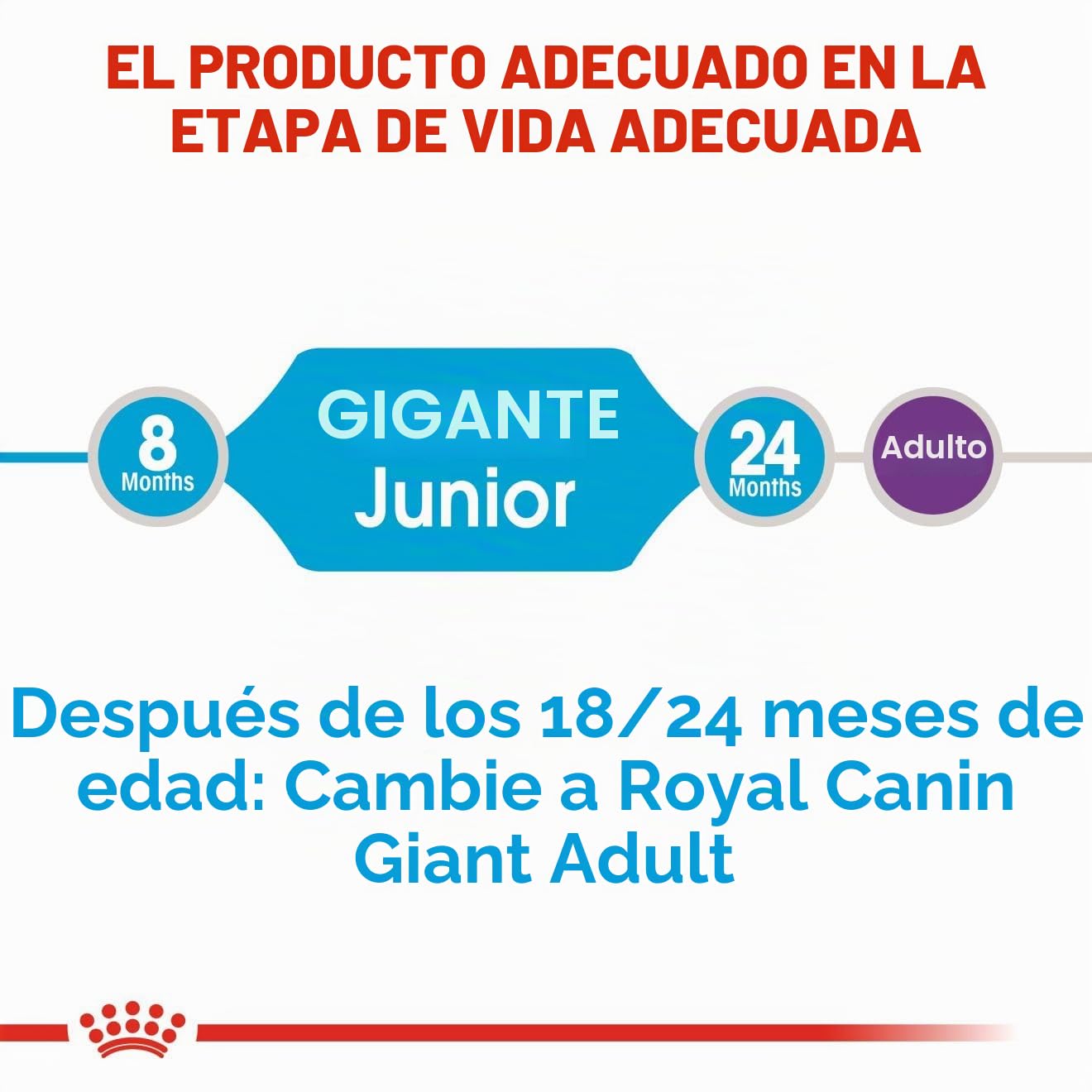 Royal Canin 31 Comida Gigante para Perros, 3,5 kg