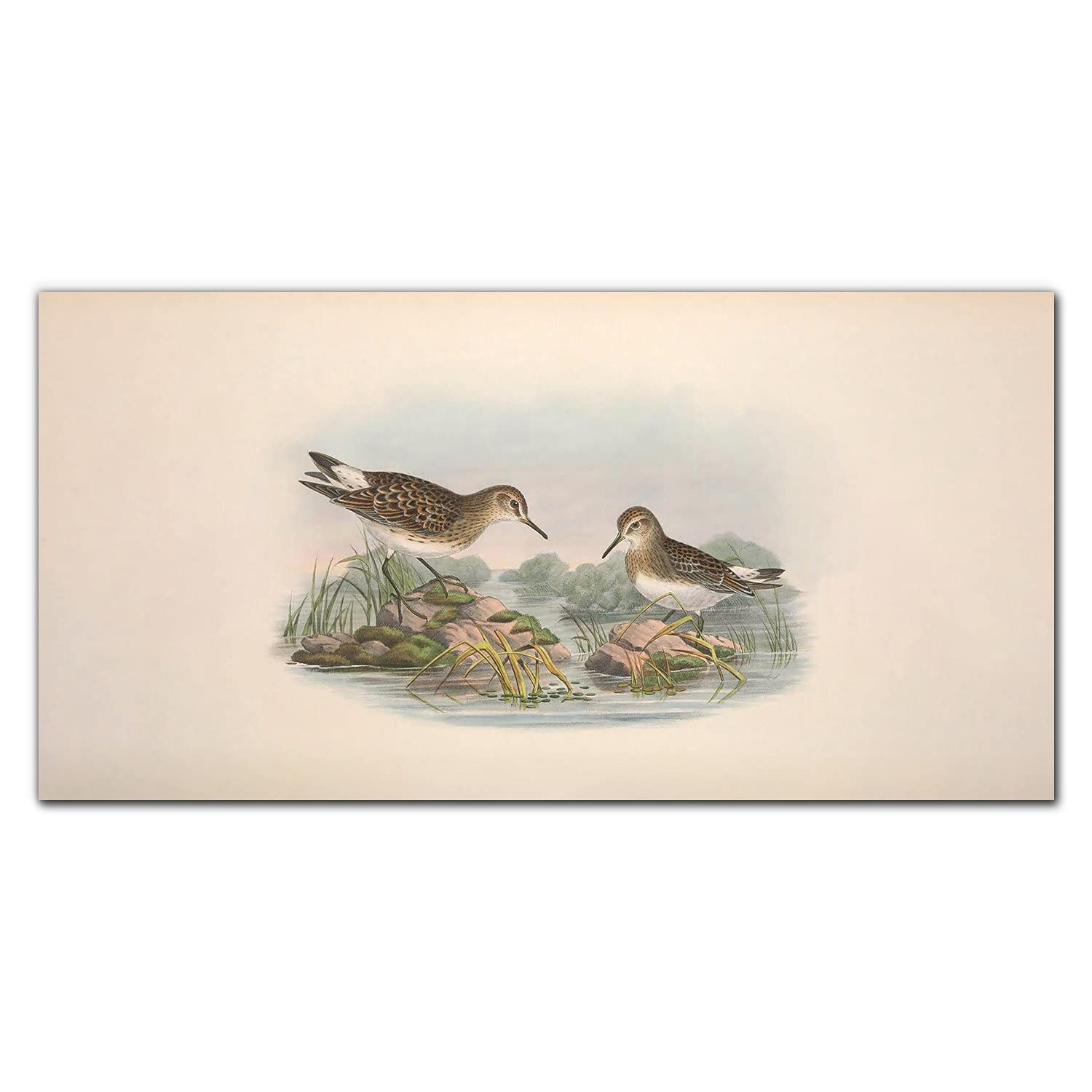 Crédence de cuisine en verre trempé 120x60cm adhésive motif oiseaux
