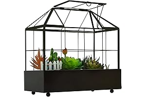 Large Plant Terrarium Glass Greenhouse