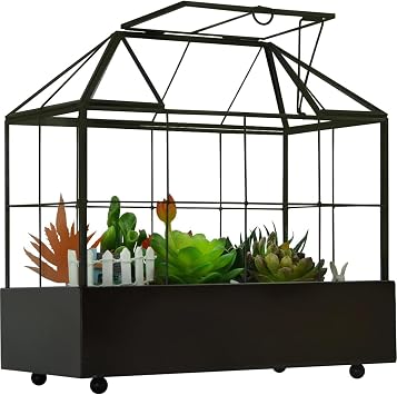 YIMORENCE V Large Tall Plant Terrarium Glass Greenhouse with Lid and Tray, Indoor Tabletop Orchid Succulent Cacti Kit 9.5X9.8X5.6