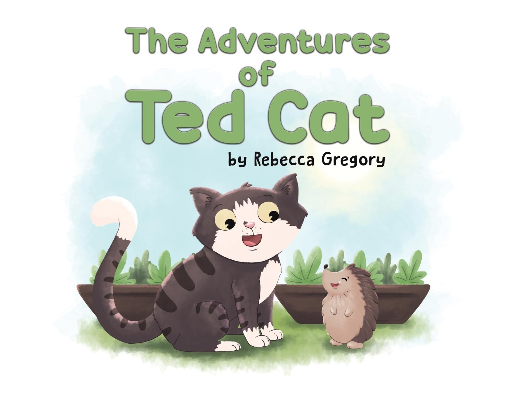 The Adventures of Ted Cat by Rebecca Gregory (Paperback Book)