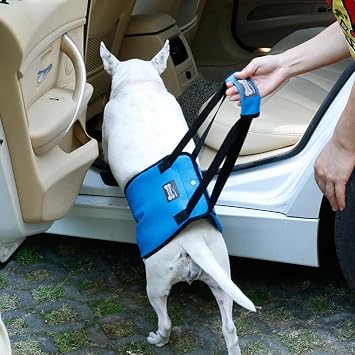 arythe Dog Lift Harness Mobility Lifting Aid Support Harness with Handle M Blue