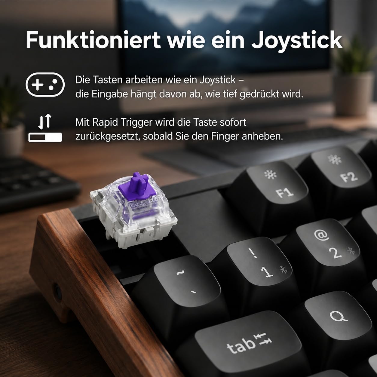 Keychron K10 HE Vollgröße DE-ISO Layout Wireless Mechanische Tastatur mit Magnet-Schaltern & Hot-Swap - Bluetooth/2.4GHz/USB-C, RGB-Beleuchtung QMK-Programmierung für Mac/Win, Holzdesign (Schwarz)