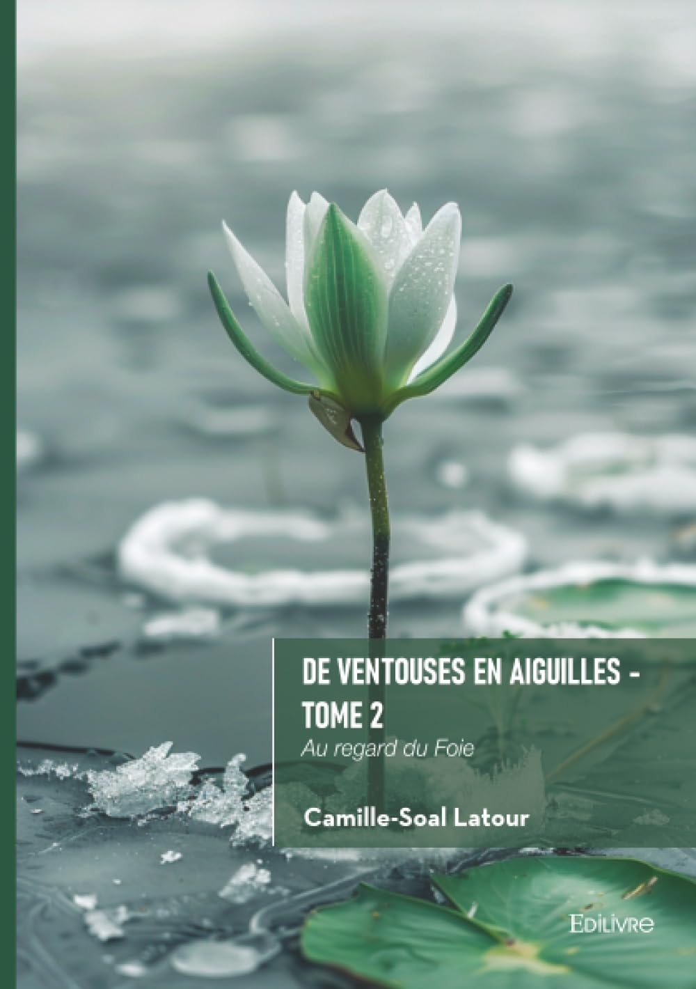 De ventouses en aiguilles - Tome 2