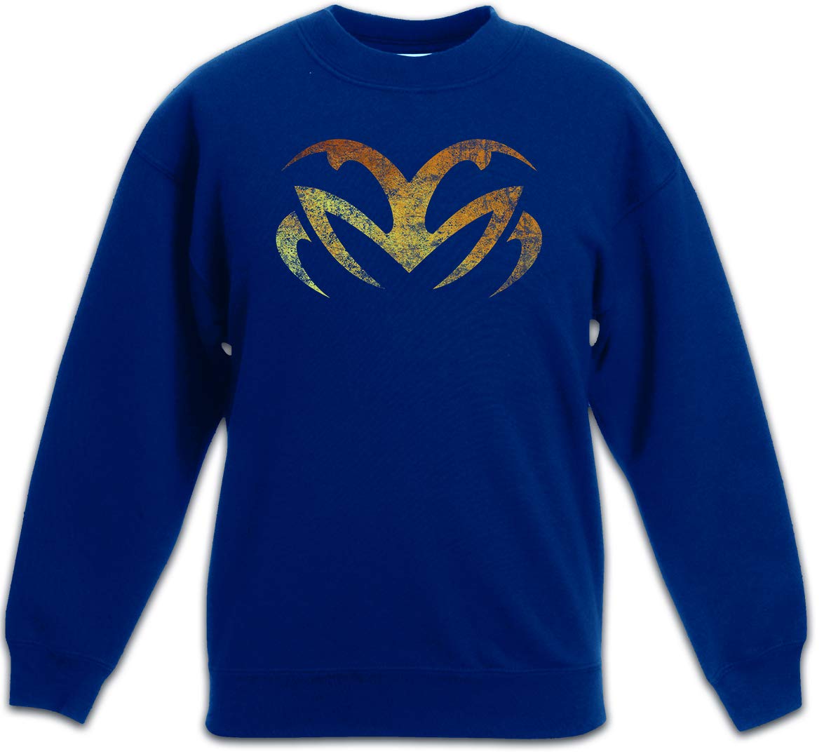 Pullover Aries enfants sweat de qualité supérieure avec imprimé bélier résistant pour junior