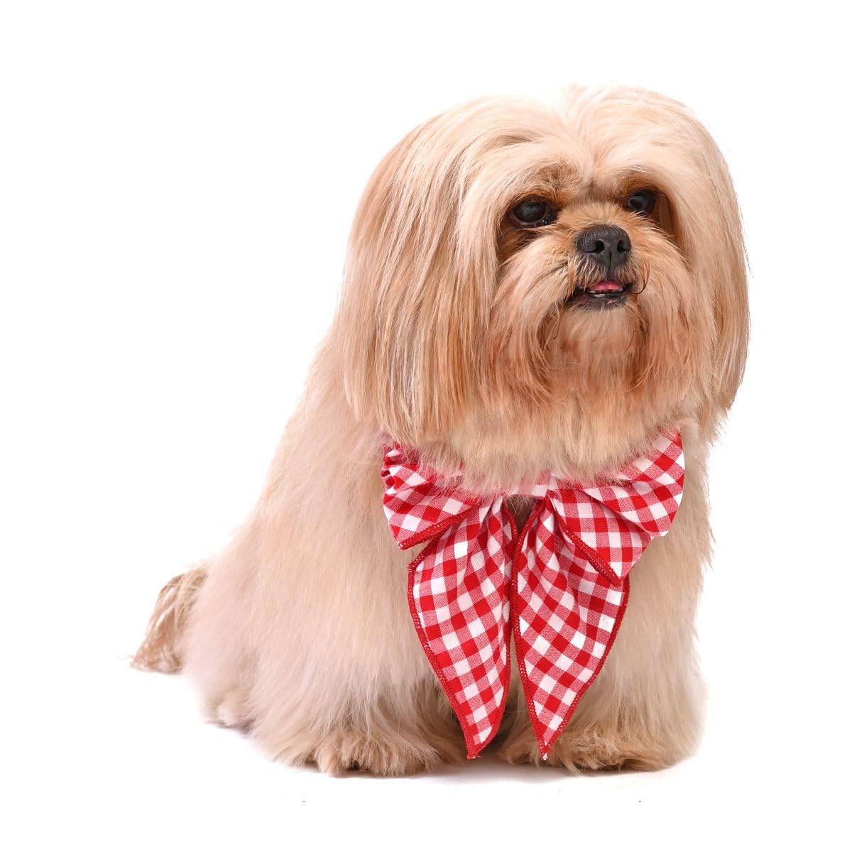 Zigly Lifestyle XOXO Gingham Checks Ribbon Dog Bow Tie | Bowtie Dog Accessories and Gifts - S (B0CN1BKVG3) Amazon Price History, Amazon Price Tracker