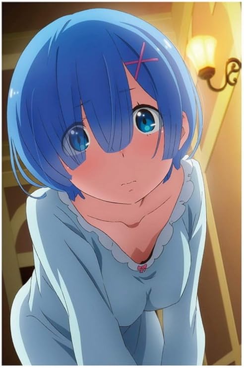 Amazon 全長53cm ネグリジェ絵柄単品 Re ゼロから始める異世界生活 メガジャンボクッション レム リゼロ グッズ クッション 這い寄り アニメ 萌えグッズ 通販