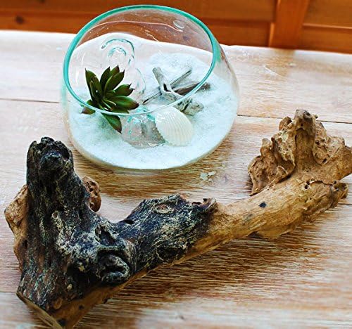 Amazon アジア工房 ガラスと流木のプランターオブジェ 並行輸入品 置物 オブジェ オンライン通販