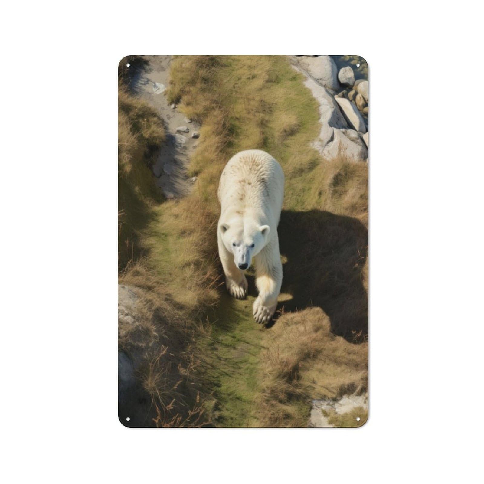 Junmoney Polar Bear In Grass Metal Plaque 30X20cm With For Garage Wall, Vintage Decor, For Vintage Wall Decor Fans, For Metal Sign Collectors