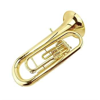 Amazon | Bフラット3ピストンバルブユーフォニアム楽器、ハード