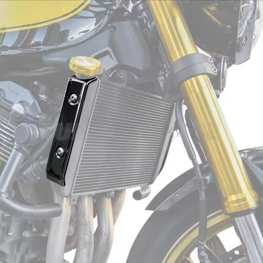 Amazon | Z900RS ラジエーターサイドカバー、コアガード、金、銀、黒