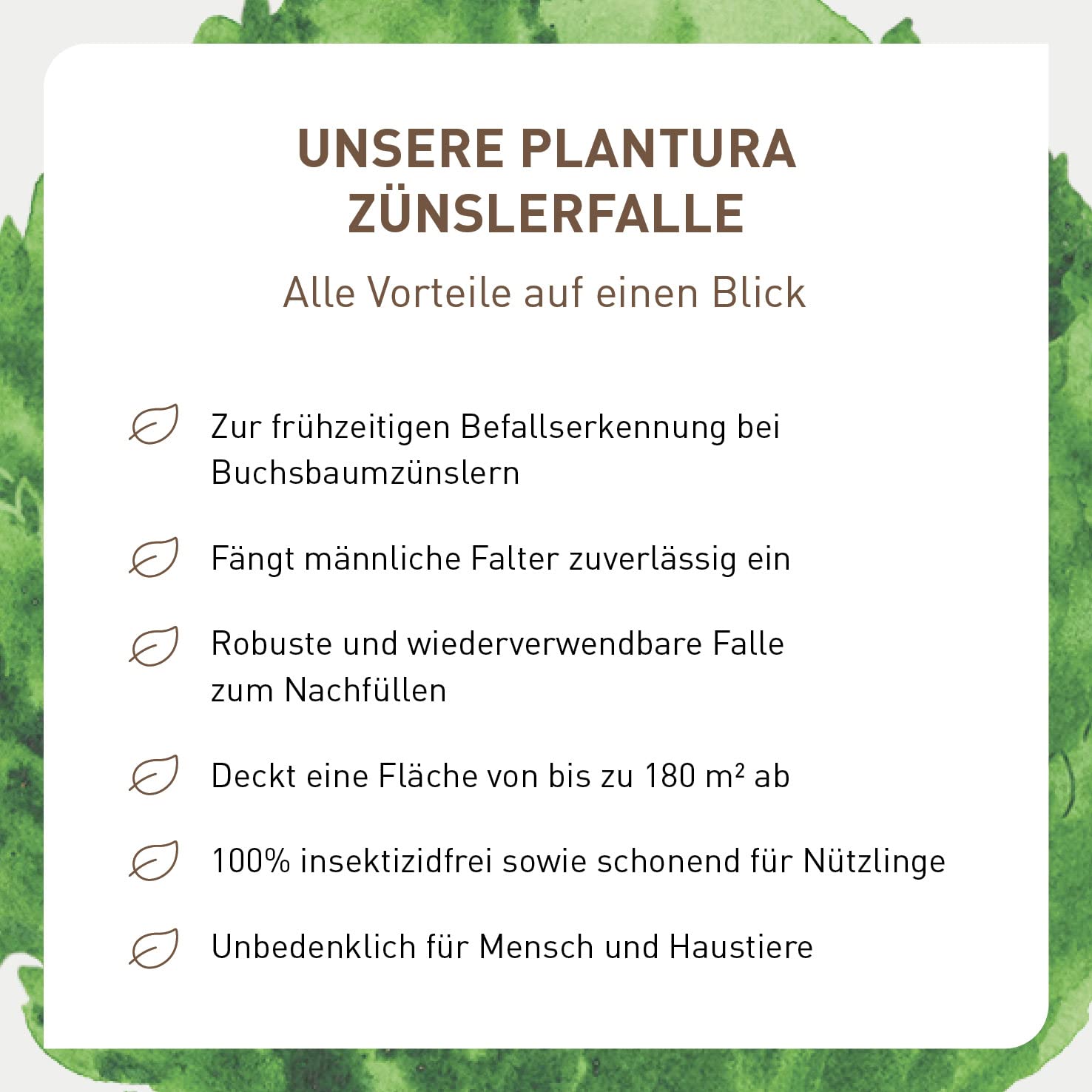 Plantura Zünslerfalle, insektizidfreie Pheromonfalle für Buchsbaumzünsler, 2 Stück