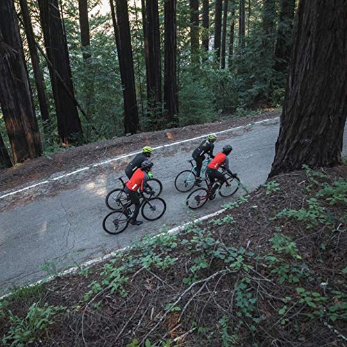 Giro Chrono Expert Halter Bib Knicker - Women's3