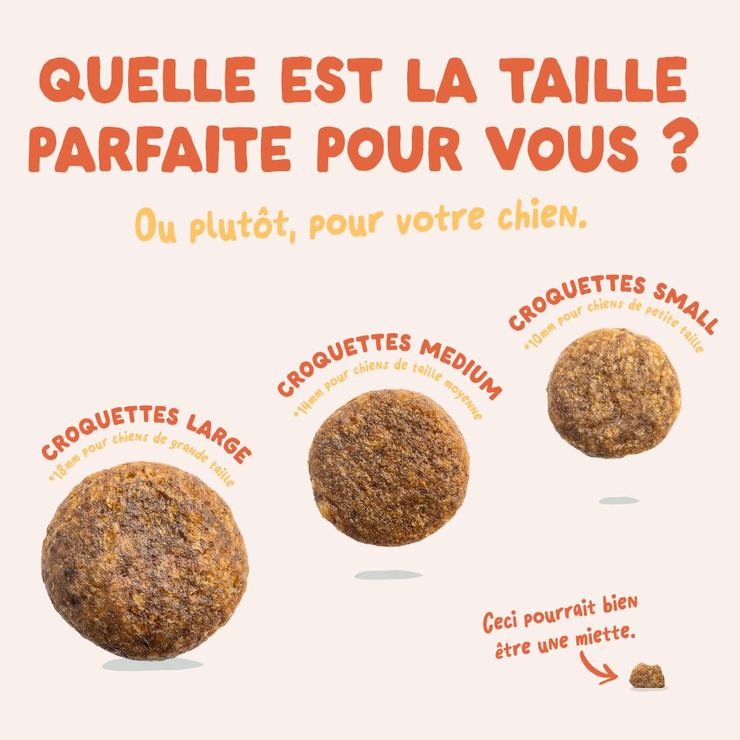 Edgard & Cooper Croquettes Chien Sans Céréales Pour Chiens Adultes Large (12kg), Poulet Frais, Teneur En Fibres Equilibrée Pour Ventres Heureux, Recette Naturelle, Jamais De Farine Animale