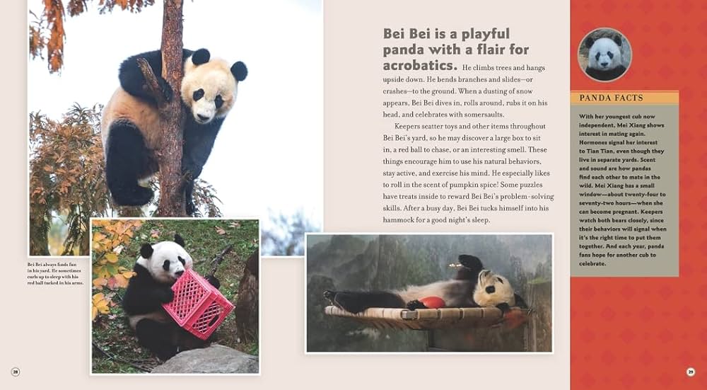 pandaページ Bei Bei Goes Home: A Panda Story: Bardoe, Cheryl: 9781536217636