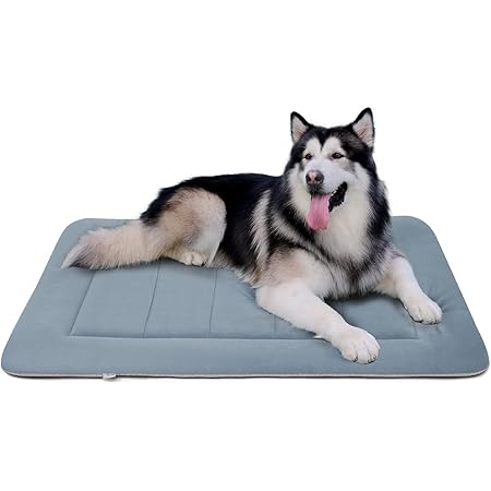 hero dog mat
