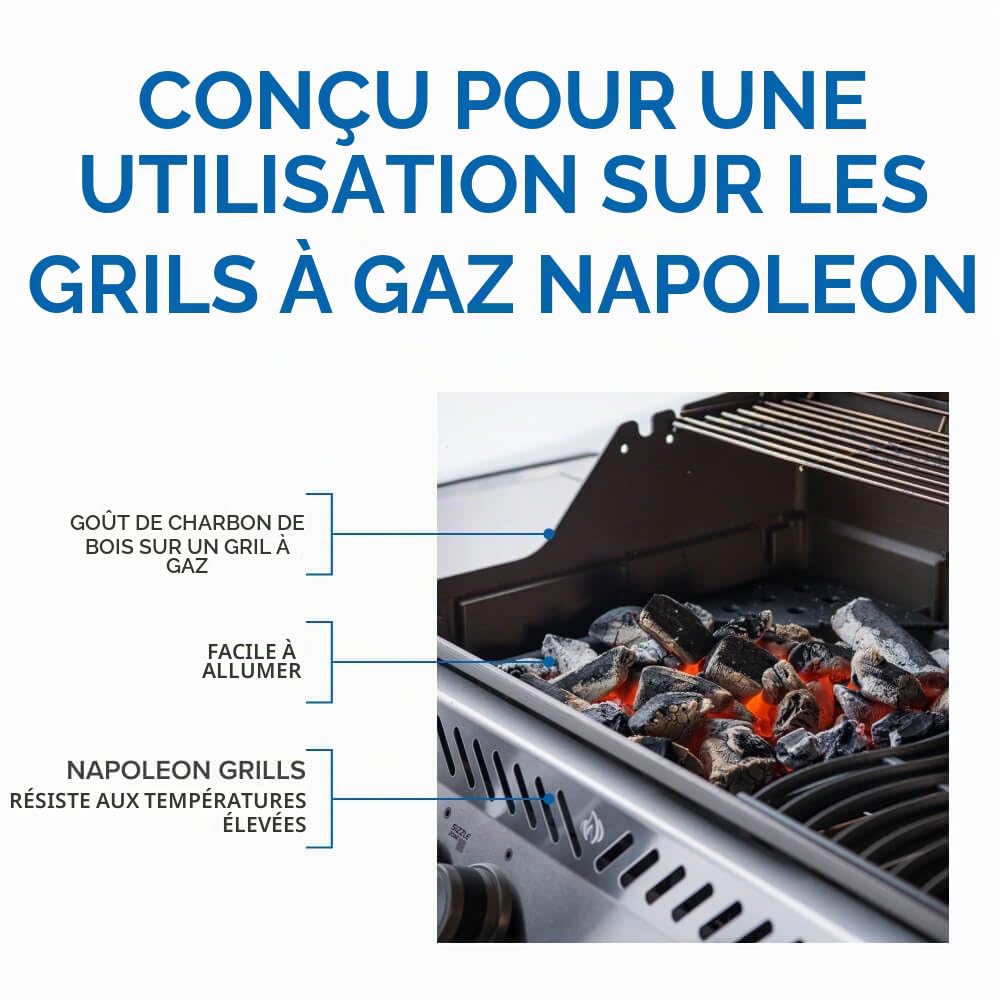 Napoleon Fumoir en Fonte pour Charbon de Bois Noir