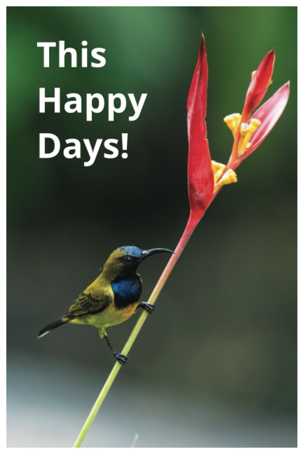 This Hapy Days!: Daily Journal