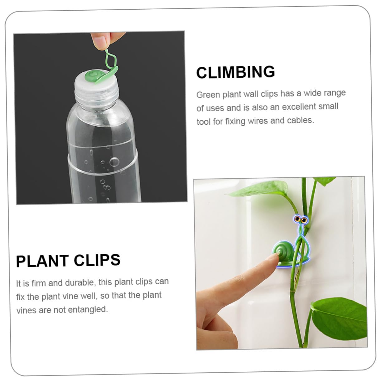 BESPORTBLE 5 Sätze Pothos Wandkletterhaken Plant Wall Clips Plant Clips Plantclips Kletterrosenclips Pflanzenclips Für Wände Kletterwand-Clips Grünpflanzenfixierer Plastik Green 50 Stück * 5