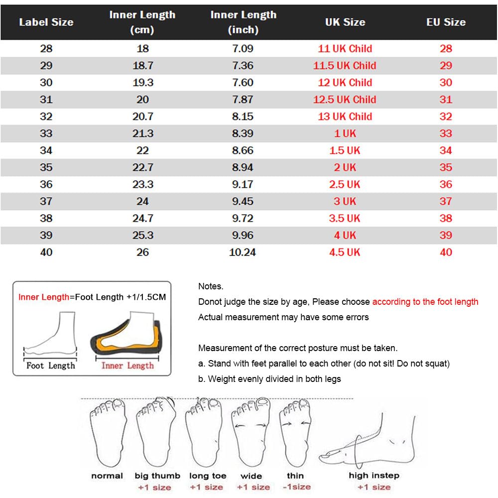 ENEN Zapatos con Ruedas, Zapatillas con Dos Ruedas para niños y Niña Zapatillas con Ruedas Skateboarding Zapatos Bambas (2 Ruedas 29-40 EU)