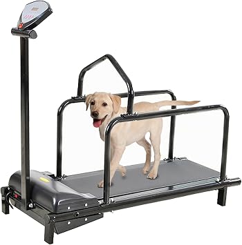 Large Dog Treadmill - Indoor/Outdoor Slatmill for Medium & Large Dogs, Pet Exercise for Training Up to 76lbs, Ideal for Weight Loss & Fitness