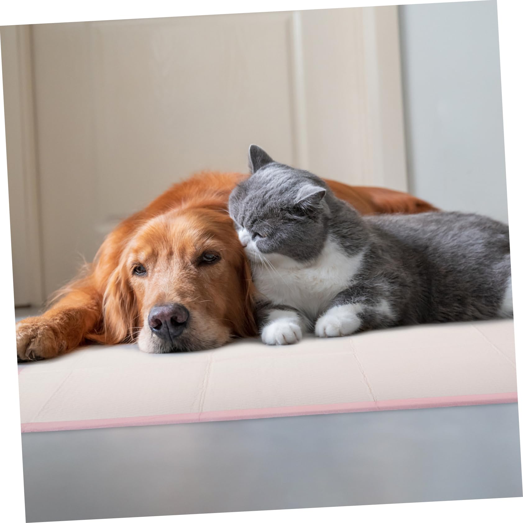 Almohadilla de orina urinario Tren Almohadillas para orina Extra Grandes para Perros. Mascotas Almohadillas para Perros Pierras de orina de los Perros Papel higiénico Rosa