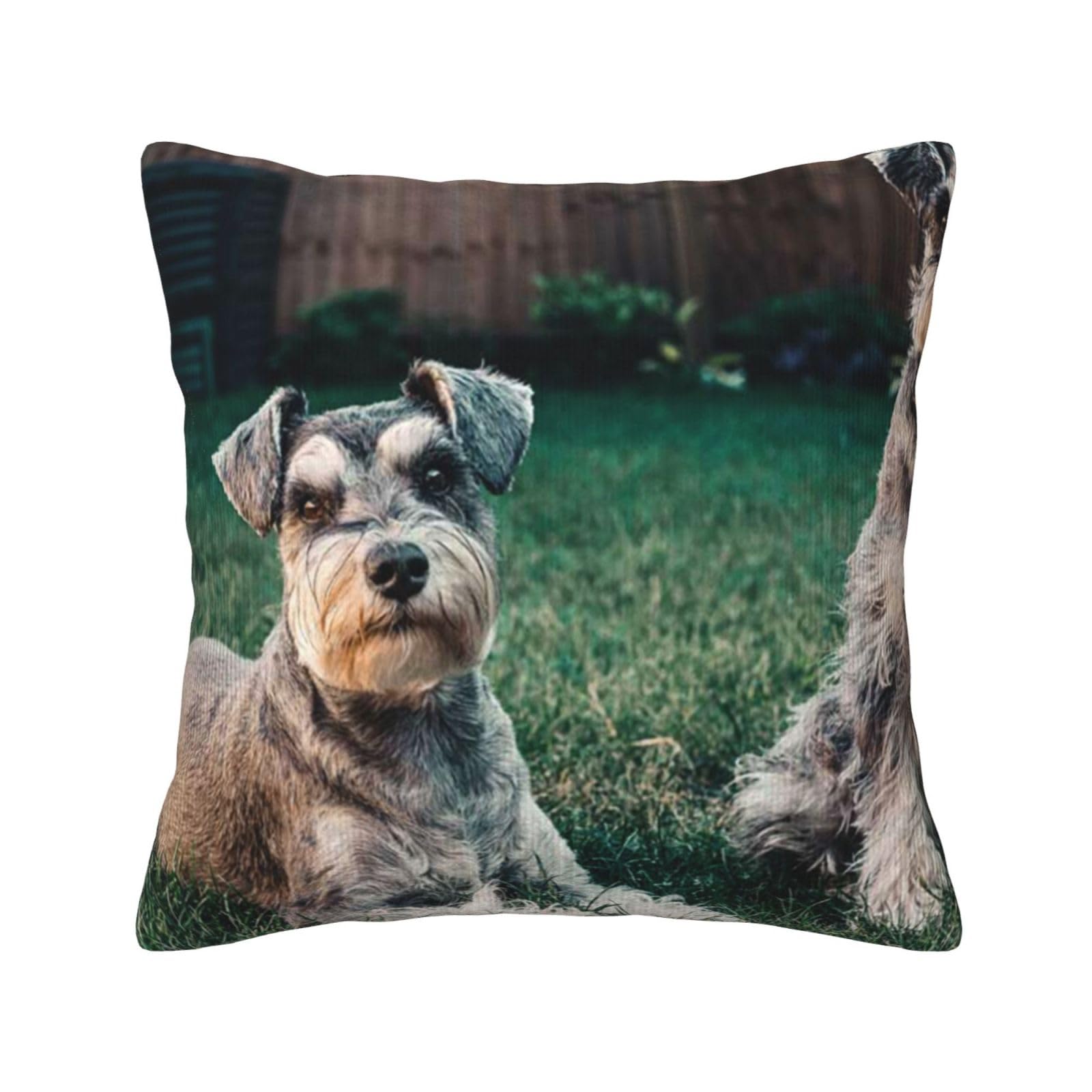 Housse de coussin schnauzer en velours côtelé pour un intérieur cosy