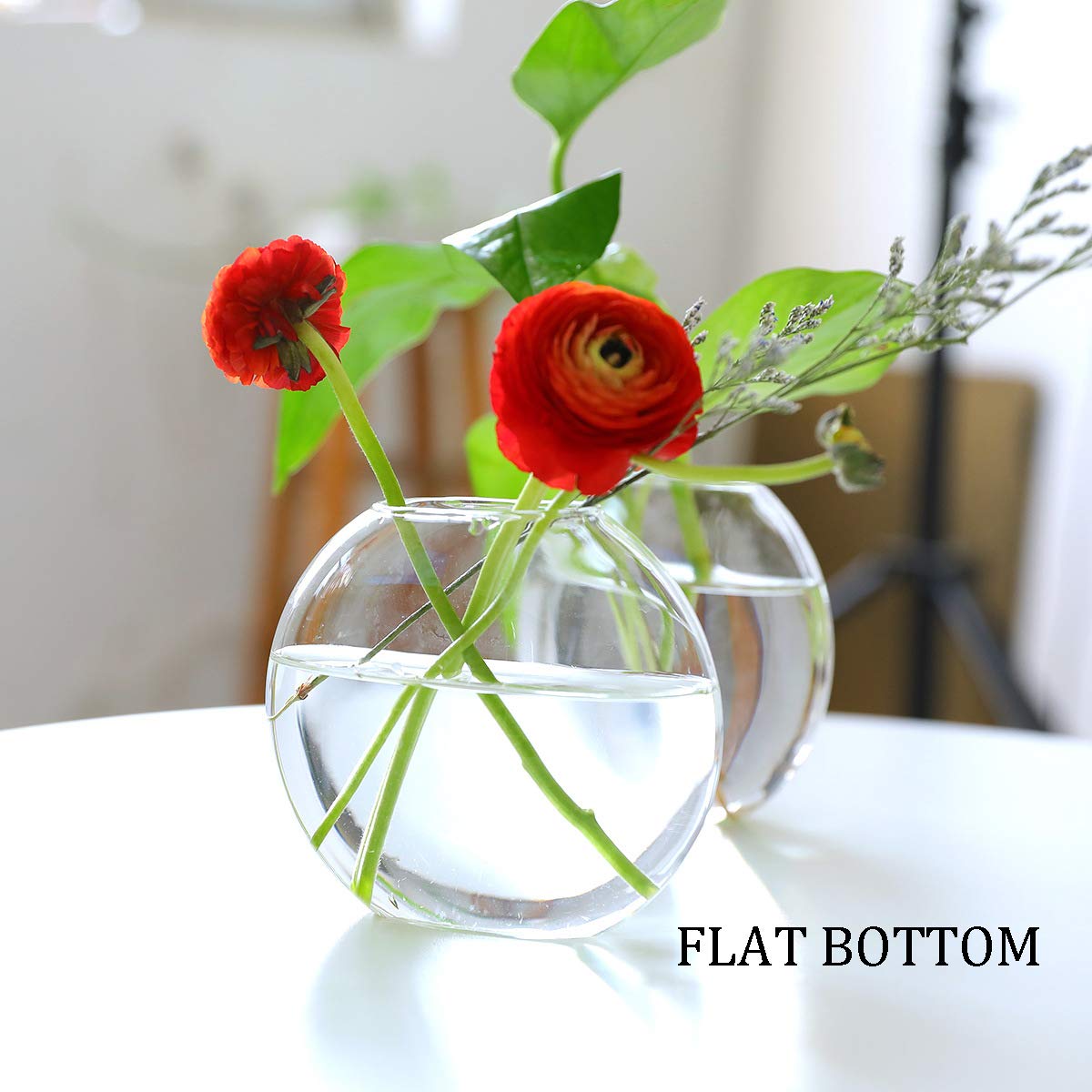 Station De Propagation Plantes En Verre – 4 Tubes à Essai Sur Support Bois Vintage, Idéal Pour Boutures Et Hydroponie