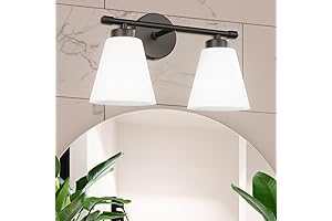 Brighten Your Home with Style: 2-Light Vanity Light Fixture with Glass Shades