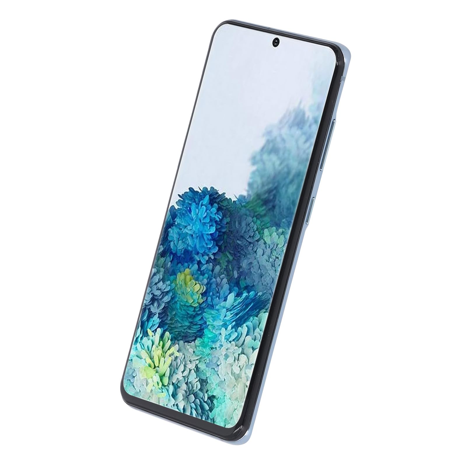 Display Schermo Completo con Telaio per S20 4G Phone, 6.2in (BLUE)